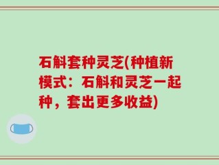 石斛套种灵芝(种植新模式：石斛和灵芝一起种，套出更多收益)