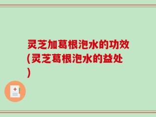 灵芝加葛根泡水的功效(灵芝葛根泡水的益处)