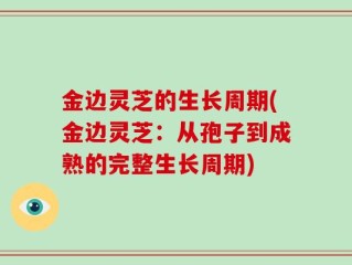 金边灵芝的生长周期(金边灵芝：从孢子到成熟的完整生长周期)