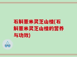 石斛薏米灵芝山楂(石斛薏米灵芝山楂的营养与功效)