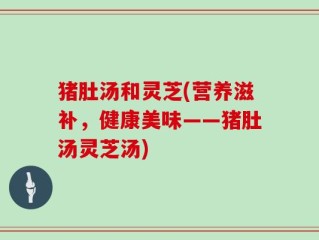 猪肚汤和灵芝(营养滋补，健康美味——猪肚汤灵芝汤)