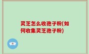 灵芝怎么收孢子粉(如何收集灵芝孢子粉)