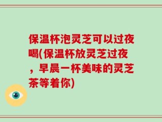 保温杯泡灵芝可以过夜喝(保温杯放灵芝过夜，早晨一杯美味的灵芝茶等着你)
