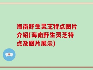 海南野生灵芝特点图片介绍(海南野生灵芝特点及图片展示)