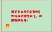 灵芝怎么种的好视频(如何成功种植灵芝，详细视频指导)