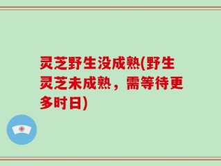 灵芝野生没成熟(野生灵芝未成熟，需等待更多时日)