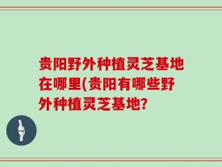 贵阳野外种植灵芝基地在哪里(贵阳有哪些野外种植灵芝基地？