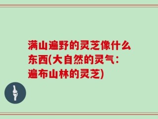 满山遍野的灵芝像什么东西(大自然的灵气：遍布山林的灵芝)