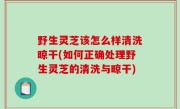 野生灵芝该怎么样清洗晾干(如何正确处理野生灵芝的清洗与晾干)