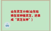 山东灵芝小妹(山东姑娘在家种植灵芝，逆袭成“灵芝女神”)