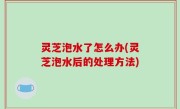 灵芝泡水了怎么办(灵芝泡水后的处理方法)