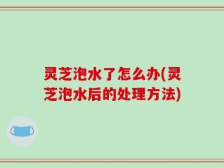 灵芝泡水了怎么办(灵芝泡水后的处理方法)