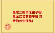 黑龙江的灵芝孢子粉(黑龙江灵芝孢子粉 珍贵的养生佳品)