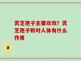 灵芝孢子主要攻效？灵芝孢子粉对人体有什么作用