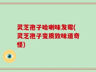 灵芝孢子哈喇味发霉(灵芝孢子变质致味道奇怪)