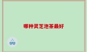 哪种灵芝泡茶最好