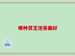 哪种灵芝泡茶最好