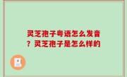 灵芝孢子粤语怎么发音？灵芝孢子是怎么样的