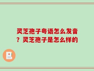 灵芝孢子粤语怎么发音？灵芝孢子是怎么样的