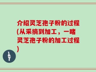 介绍灵芝孢子粉的过程(从采摘到加工，一睹灵芝孢子粉的加工过程)