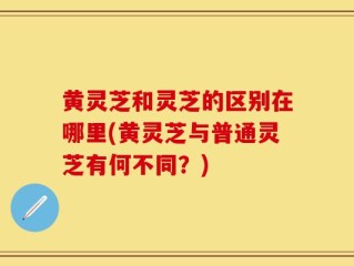 黄灵芝和灵芝的区别在哪里(黄灵芝与普通灵芝有何不同？)