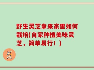 野生灵芝拿来家里如何栽培(自家种植美味灵芝，简单易行！)