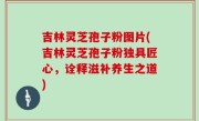 吉林灵芝孢子粉图片(吉林灵芝孢子粉独具匠心，诠释滋补养生之道)