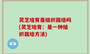灵芝培育是组织栽培吗(灵芝培育：是一种组织栽培方法)