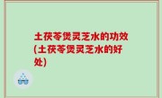 土茯苓煲灵芝水的功效(土茯苓煲灵芝水的好处)