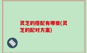 灵芝的搭配有哪些(灵芝的配对方案)
