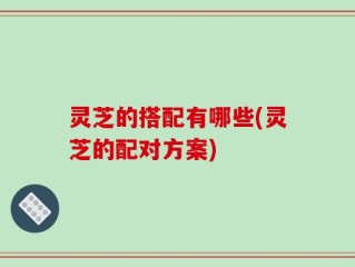 灵芝的搭配有哪些(灵芝的配对方案)