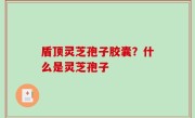 盾顶灵芝孢子胶囊？什么是灵芝孢子