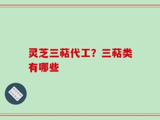 灵芝三萜代工？三萜类有哪些