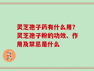灵芝孢子药有什么用？灵芝孢子粉的功效、作用及禁忌是什么