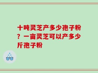 十吨灵芝产多少孢子粉？一亩灵芝可以产多少斤孢子粉