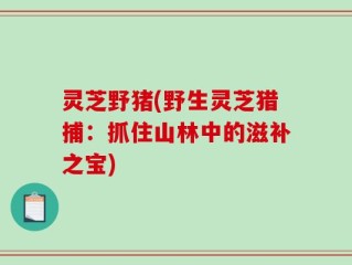灵芝野猪(野生灵芝猎捕：抓住山林中的滋补之宝)