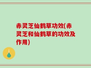 赤灵芝仙鹤草功效(赤灵芝和仙鹤草的功效及作用)