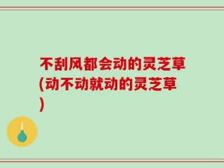 不刮风都会动的灵芝草(动不动就动的灵芝草)