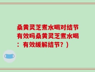 桑黄灵芝煮水喝对结节有效吗桑黄灵芝煮水喝：有效缓解结节？)