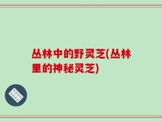 丛林中的野灵芝(丛林里的神秘灵芝)