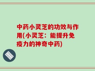 中药小灵芝的功效与作用(小灵芝：能提升免疫力的神奇中药)