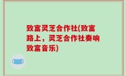 致富灵芝合作社(致富路上，灵芝合作社奏响致富音乐)