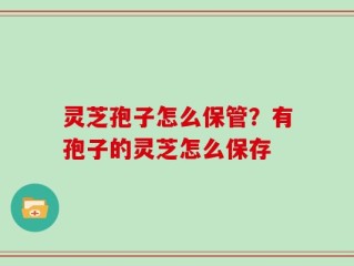 灵芝孢子怎么保管？有孢子的灵芝怎么保存