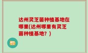 达州灵芝菌种植基地在哪里(达州哪里有灵芝菌种植基地？)