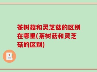 茶树菇和灵芝菇的区别在哪里(茶树菇和灵芝菇的区别)