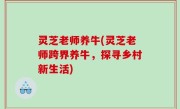 灵芝老师养牛(灵芝老师跨界养牛，探寻乡村新生活)