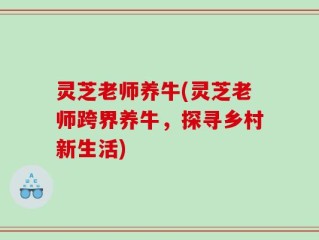 灵芝老师养牛(灵芝老师跨界养牛，探寻乡村新生活)