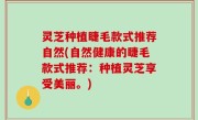 灵芝种植睫毛款式推荐自然(自然健康的睫毛款式推荐：种植灵芝享受美丽。)