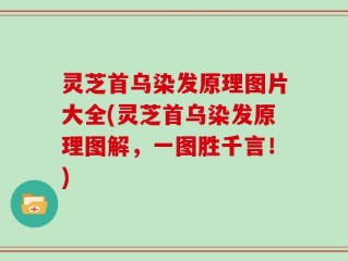 灵芝首乌染发原理图片大全(灵芝首乌染发原理图解，一图胜千言！)
