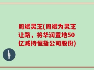 周斌灵芝(周斌为灵芝让路，将华润置地50亿减持恒指公司股份)